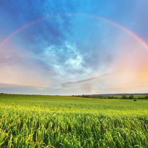 Rainbow Night 2026 - Lugagnano val d'Arda (PC)